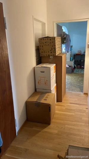 Professionelle Umzugskartons