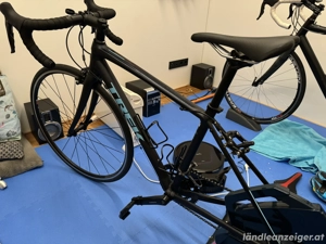 Trek Domane AL Damenrennrad