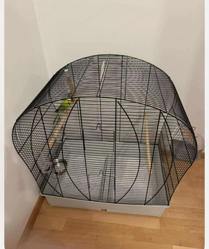 Käfig mit Wellensittich z