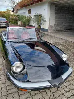Alfa Romeo Spider Bild 2
