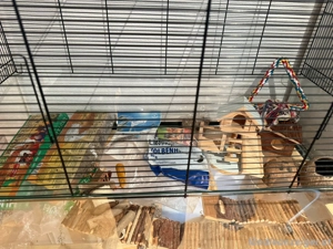 kleintier käfig Bild 2