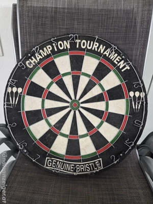 Dartscheibe Darts Neu Dart Tournament Steeldarts Champion Steel