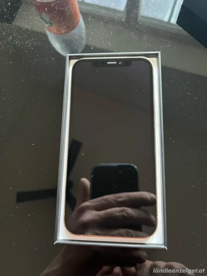iPhone 12 Pro in Gold Bild 5