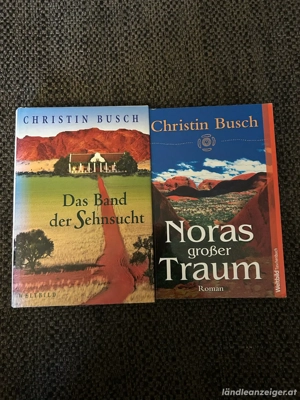 2 Romane, Christin Busch