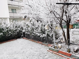 Wo ist die Rose meines Herzens 