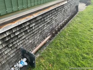 Förderschnecke  Bild 2