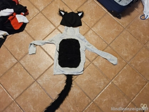 Faschingskostüm zu verschenken Bild 8