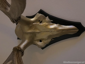Hirschgeweih  Bild 3