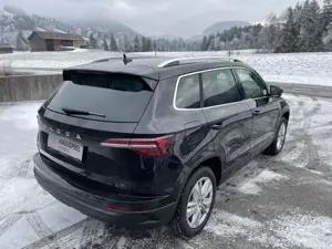 Skoda Karoq Bild 3