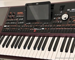Korg Pa1000  Bild 2
