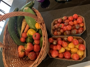 Grundstück gesucht für einen naturnahen Garten