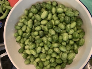 Grundstück gesucht für einen naturnahen Garten Bild 5