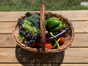 Grundstück gesucht für einen naturnahen Garten