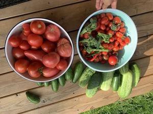 Grundstück gesucht für einen naturnahen Garten Bild 3
