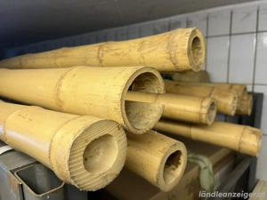 Bambus Rohre Bild 2