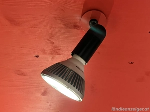 Zumtobel Staff Spot-Strahler