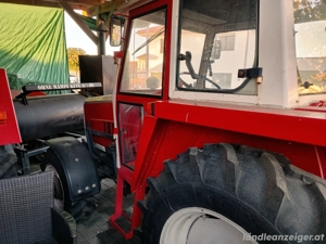 Steyr Typ 8060, Baujahr 1981 Bild 3