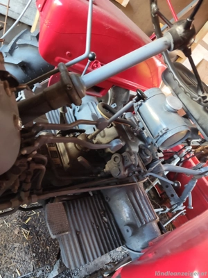 Lindner BF 22A  Bild 4