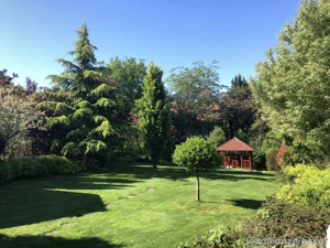 Traumhaus in Ungarn Bild 5