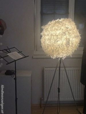 Federlampe, Stehlampe Bild 2