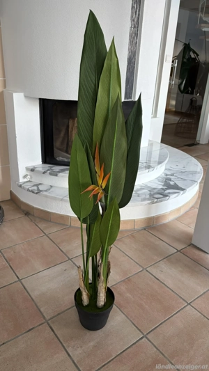 Kunstpflanze Strelitzia - sieht aus wie echt Bild 2