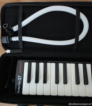 hohner melodica Bild 2