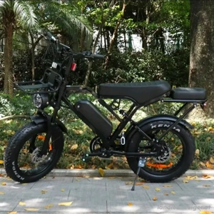 X80Pro Fatbike -montiert oder im paket,mit NFC Zubehör  Bild 3