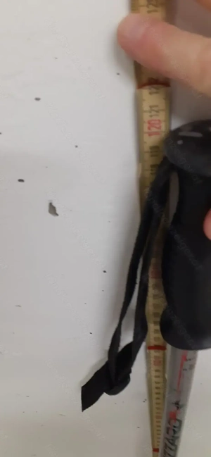 Schistock 120 cm Länge Bild 2