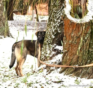 Selbstbewusste Tosya sucht aktive Menschen Bild 3