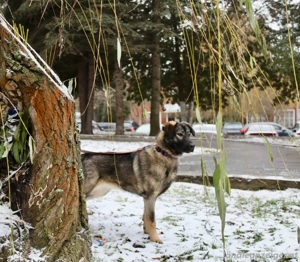 Selbstbewusste Tosya sucht aktive Menschen Bild 4