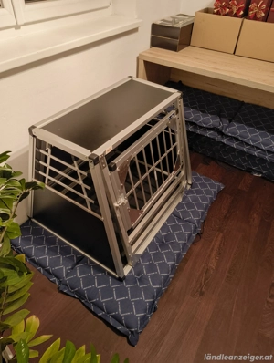 Alpuna N36 Alu-Hundetransportbox (Top Zustand) Bild 2