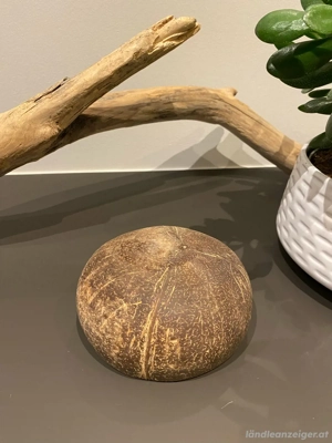 Kokosnuss Schale   Bowl Bild 3