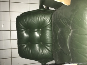 Schalensessel Echtleder Bild 2