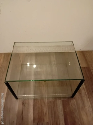 Glas Terrarium  Bild 2