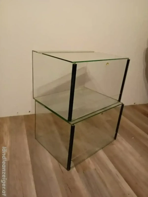 Glas Terrarium  Bild 3