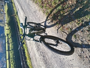 e bike Trek rail 9.5