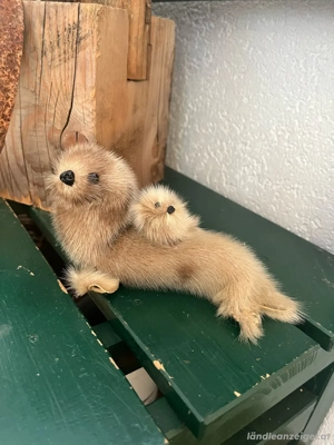 Sammlerstück Bild 2