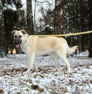 Gibst du Snezha einen warmen Platz?! Bild 2