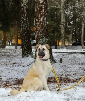 Gibst du Snezha einen warmen Platz?! Bild 4