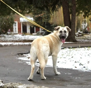 Gibst du Snezha einen warmen Platz?! Bild 5