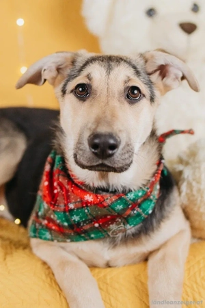 Nola will geliebt werden für immer Bild 2