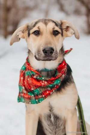 Nola will geliebt werden für immer