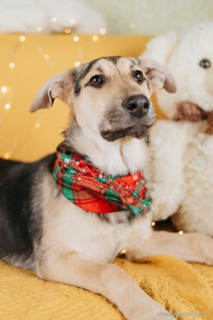 Nola will geliebt werden für immer Bild 3