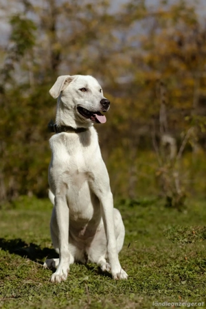 Lilit Taub durch die Welt , aber mit viel Liebe Bild 2