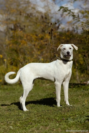 Lilit Taub durch die Welt , aber mit viel Liebe