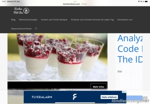 Panther schwarz leicht beschädigt