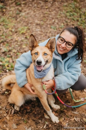 Aktive Mira sucht aktive Menschen Bild 5