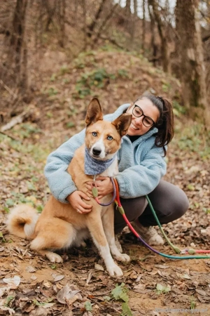 Aktive Mira sucht aktive Menschen Bild 4