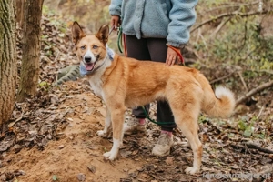 Aktive Mira sucht aktive Menschen