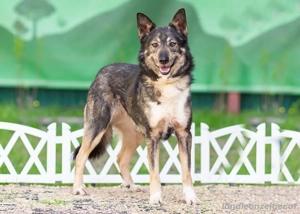 Ruhige Abi sucht ihren Platz Bild 5